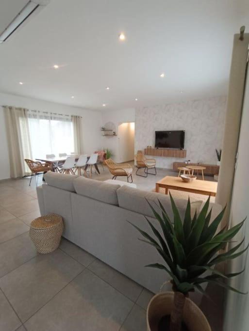 Villa Des Rives Du Tarn Avec Jacuzzi Montans Екстериор снимка