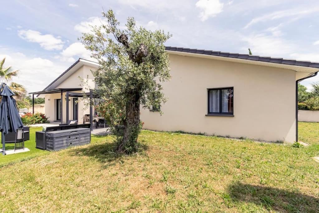Villa Des Rives Du Tarn Avec Jacuzzi Montans Екстериор снимка